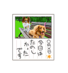 かっかとちゃみとはむちーの日常会話（個別スタンプ：16）