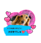 かっかとちゃみとはむちーの日常会話（個別スタンプ：22）