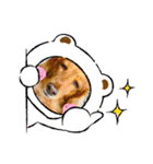 かっかとちゃみとはむちーの日常会話（個別スタンプ：23）