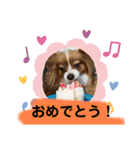かっかとちゃみとはむちーの日常会話（個別スタンプ：24）