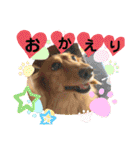 かっかとちゃみとはむちーの日常会話（個別スタンプ：25）