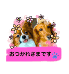 かっかとちゃみとはむちーの日常会話（個別スタンプ：26）
