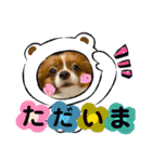 かっかとちゃみとはむちーの日常会話（個別スタンプ：27）