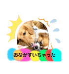 かっかとちゃみとはむちーの日常会話（個別スタンプ：30）