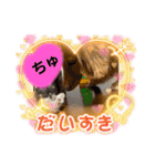 かっかとちゃみとはむちーの日常会話（個別スタンプ：34）