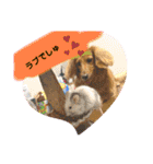 かっかとちゃみとはむちーの日常会話（個別スタンプ：38）