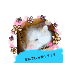 かっかとちゃみとはむちーの日常会話（個別スタンプ：39）