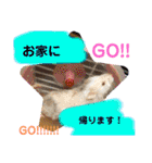 かっかとちゃみとはむちーの日常会話（個別スタンプ：40）