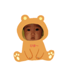 ゆうちゃんだよーん（個別スタンプ：5）