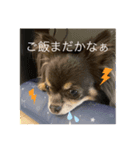 はるた＆ふゆた（個別スタンプ：5）