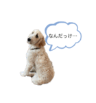 リリー＆ジミー（個別スタンプ：4）