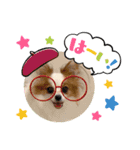 パピヨンぴのちゃんのスタンプ8♡（個別スタンプ：4）