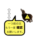 犬いぬイヌ ダックス スタンプ2（個別スタンプ：14）