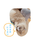 ルビー＆ソラの日常（個別スタンプ：1）