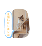ルビー＆ソラの日常（個別スタンプ：2）