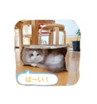 ルビー＆ソラの日常（個別スタンプ：4）