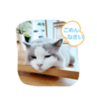 ルビー＆ソラの日常（個別スタンプ：6）