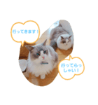 ルビー＆ソラの日常（個別スタンプ：9）