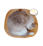 ルビー＆ソラの日常（個別スタンプ：10）