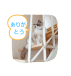 ルビー＆ソラの日常（個別スタンプ：13）