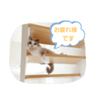 ルビー＆ソラの日常（個別スタンプ：14）