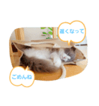 ルビー＆ソラの日常（個別スタンプ：21）