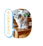 ルビー＆ソラの日常（個別スタンプ：22）