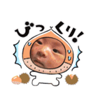 Family‪ꔛ‬♡‪（個別スタンプ：8）