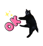 黒猫くうちゃん（個別スタンプ：3）