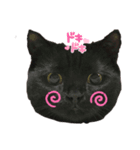 黒猫くうちゃん（個別スタンプ：7）