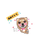 チワワのココ太（個別スタンプ：22）