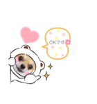 チワワのココ太（個別スタンプ：23）