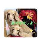 瑠璃と心の日常＆イベント（個別スタンプ：2）