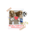 瑠璃と心の日常＆イベント（個別スタンプ：4）