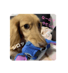 瑠璃と心の日常＆イベント（個別スタンプ：5）