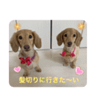 瑠璃と心の日常＆イベント（個別スタンプ：6）