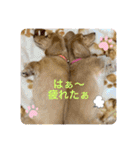 瑠璃と心の日常＆イベント（個別スタンプ：7）