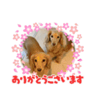 瑠璃と心の日常＆イベント（個別スタンプ：19）