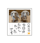 瑠璃と心の日常＆イベント（個別スタンプ：22）
