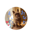 のんたんゆずたんのあたんまろたん（個別スタンプ：3）