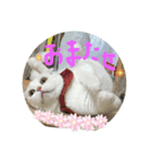 のんたんゆずたんのあたんまろたん（個別スタンプ：4）