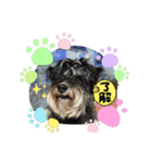 のんたんゆずたんのあたんまろたん（個別スタンプ：5）