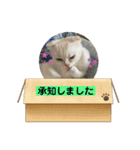 のんたんゆずたんのあたんまろたん（個別スタンプ：6）