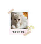 のんたんゆずたんのあたんまろたん（個別スタンプ：7）