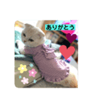 のんたんゆずたんのあたんまろたん（個別スタンプ：8）