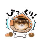 RonRonBOYS（個別スタンプ：2）