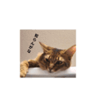 RonRonBOYS（個別スタンプ：3）