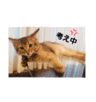 RonRonBOYS（個別スタンプ：6）