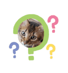 RonRonBOYS（個別スタンプ：9）