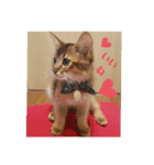 RonRonBOYS（個別スタンプ：15）